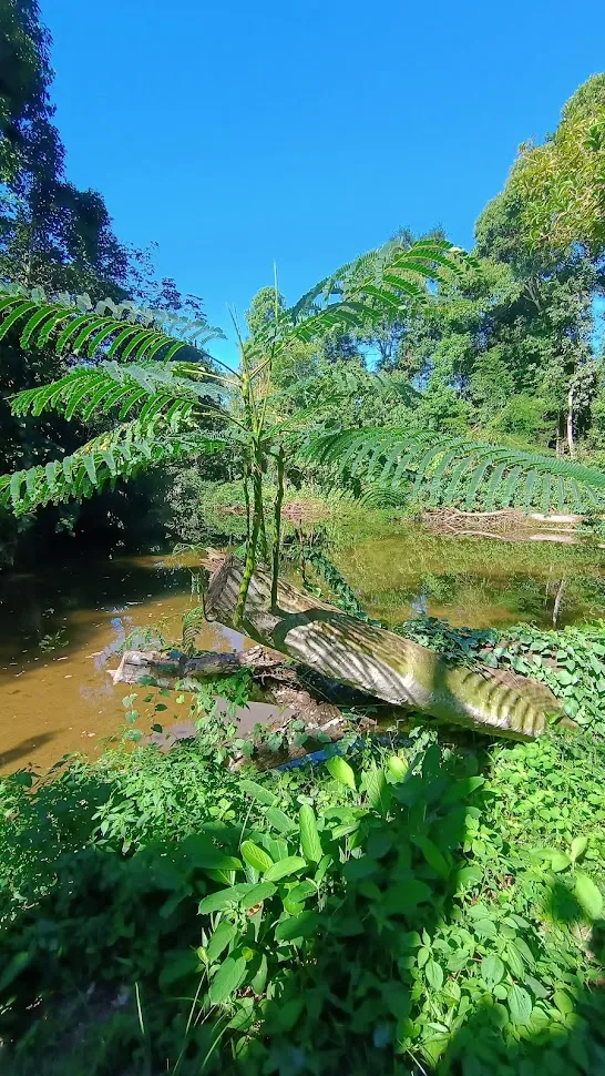 Trilha de Castelhanos