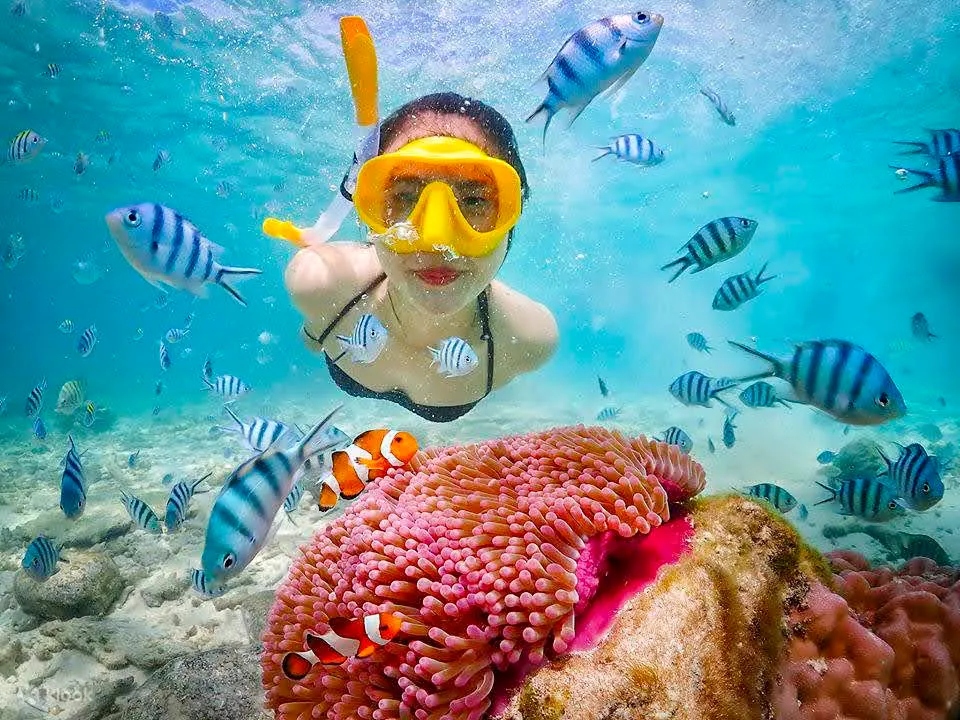 Mergulho Livre / Snorkeling