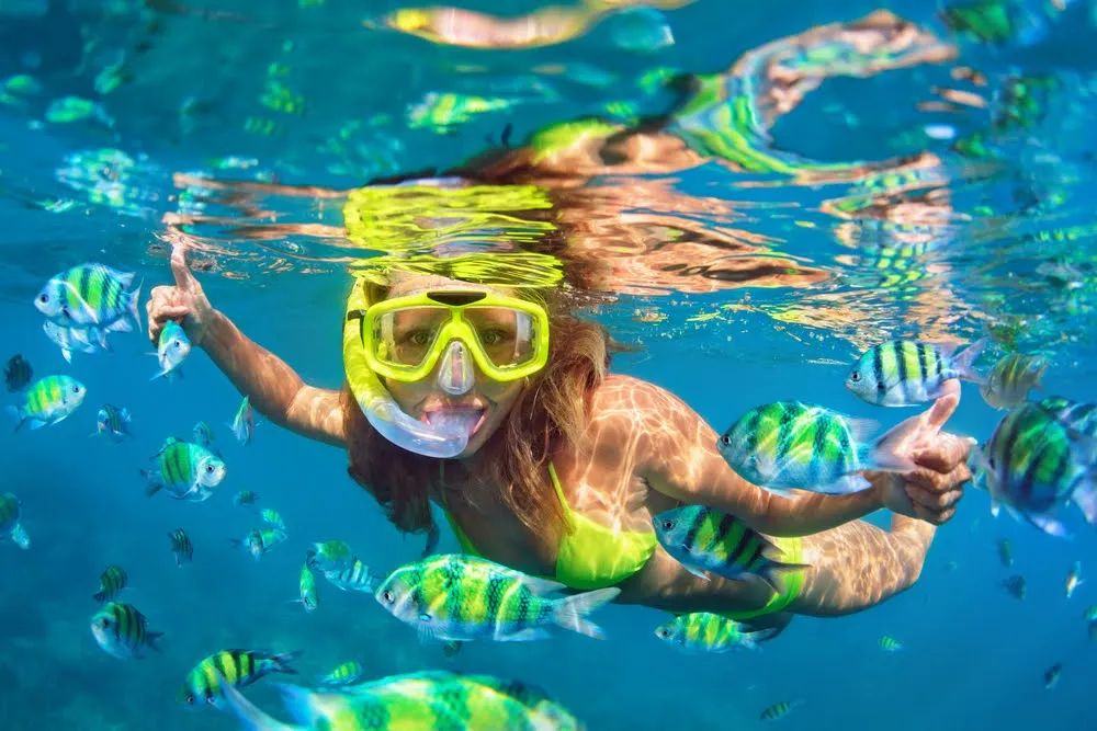 Buceo Libre / Snorkeling
