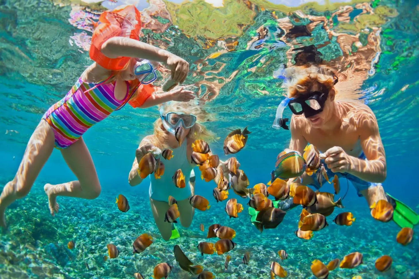 Buceo Libre / Snorkeling